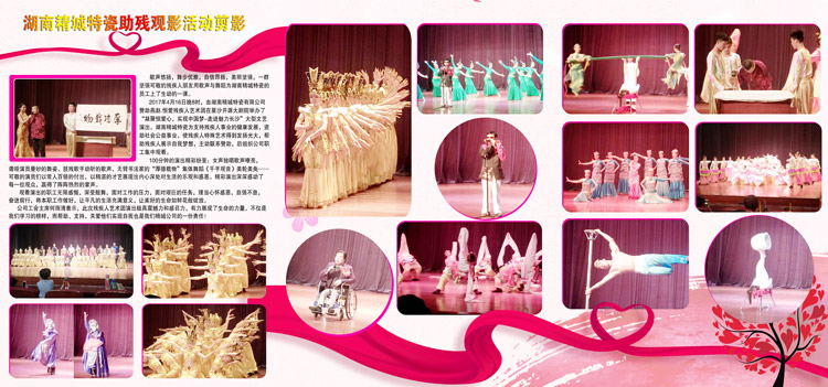 湖南南宫NG28赞助燕赵·恒爱残疾人艺术团圆满演出